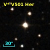 V* V501 Her