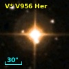 V* V956 Her