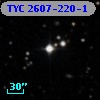 TYC 2607-220-1