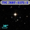 TYC 2607-1175-1