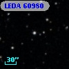 LEDA   60980