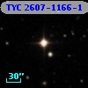 TYC 2607-1166-1