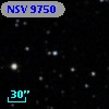NSV  9750