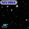 NSV  9984