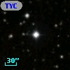 TYC 2103-13-1