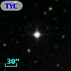 TYC 2103-1008-1