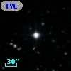 TYC 2103-1167-1