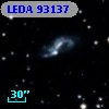 LEDA   93137