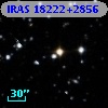IRAS 18222+2856