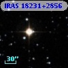 IRAS 18231+2856