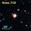 LTT 15446