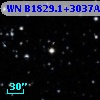 WN B1829.1+3037A