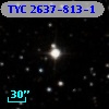TYC 2637-813-1