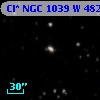 Cl* NGC 1039      W     482