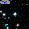 TYC 2117-534-1