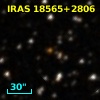 NSVS   8202810