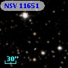 NSV 11651
