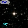 TYC 2134-902-1