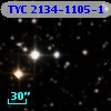 TYC 2134-1105-1