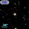 TYC 2134-1113-1