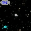 TYC 2134-1362-1