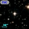 TYC 2134-1727-1