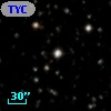 TYC 2134-1772-1