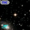 TYC 2135-1865-1