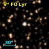 V* FO Lyr
