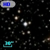 HD 337800