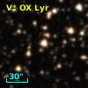 V* OX Lyr