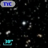 TYC 2135-1259-1