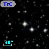 TYC 2135-1446-1