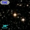 TYC 2135-1804-1