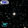 TYC 2135-1881-1