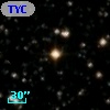 TYC 2135-2385-1