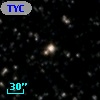 TYC 2135-2561-1