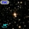 TYC 2135-2604-1