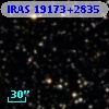 IRAS 19173+2835