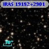 IRAS 19182+2901