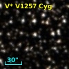 V* V1257 Cyg
