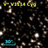 V* V1114 Cyg