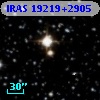 IRAS 19219+2905