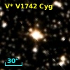 V* V1742 Cyg