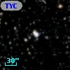 TYC 2133-2393-1