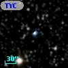 TYC 2137-679-1