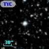 TYC 2137-1703-1