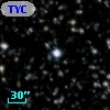TYC 2137-2295-1