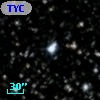 TYC 2137-2393-1