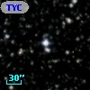 TYC 2137-2636-1